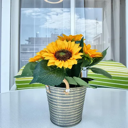 Sunflower Tailandia_santa Pola *